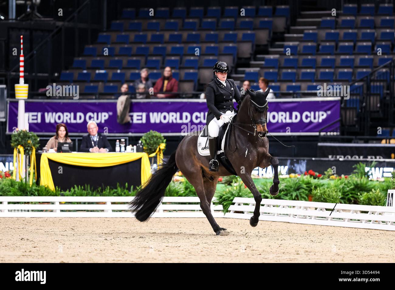 Tina von Briel su Tallahassee (RZ Frese Immenhoefe) Dressage Cup della compagnia iWEST Dressage Intermediate i Kuer esame finale Baden-Württemberg GER, Stoccarda German Masters 2025, 39° Torneo Equestre Internazionale, 11/13/2025 foto: Eibne Foto Stock