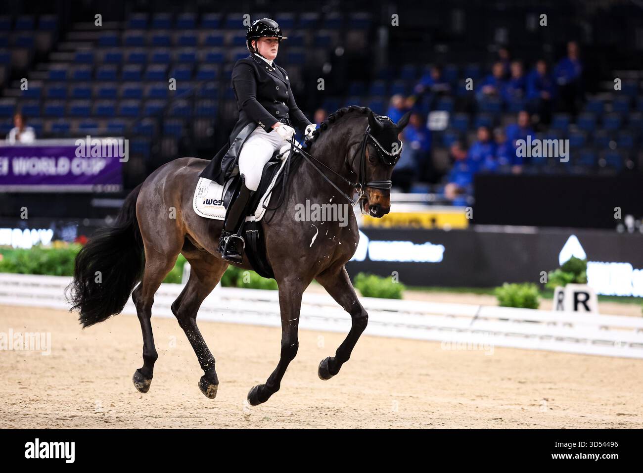 Tina von Briel su Tallahassee (RZ Frese Immenhoefe) Dressage Cup della compagnia iWEST Dressage Intermediate i Kuer esame finale Baden-Württemberg GER, Stoccarda German Masters 2025, 39° Torneo Equestre Internazionale, 11/13/2025 foto: Eibne Foto Stock