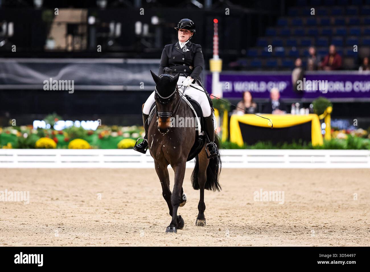 Tina von Briel su Tallahassee (RZ Frese Immenhoefe) Dressage Cup della compagnia iWEST Intermediate i Dressage Kuer esame finale Baden-Württemberg GER, Stoccarda German Masters 2025, 39° Torneo Equestre Internazionale, 13 novembre 2025 foto Foto Stock