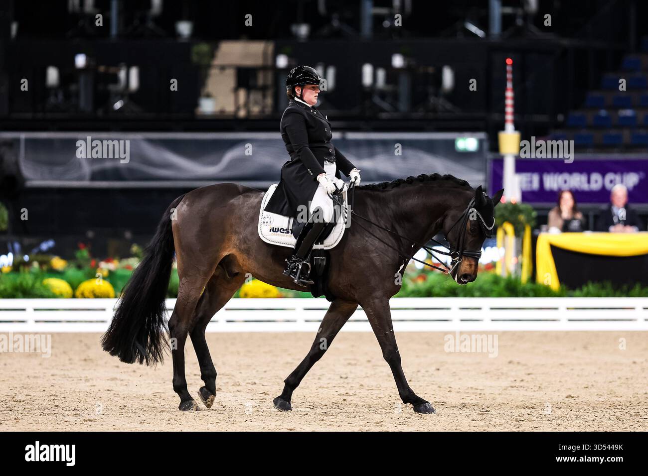 Tina von Briel su Tallahassee (RZ Frese Immenhoefe) Dressage Cup della compagnia iWEST Dressage Intermediate i Kuer esame finale Baden-Württemberg GER, Stoccarda German Masters 2025, 39° Torneo Equestre Internazionale, 11/13/2025 foto: Eibne Foto Stock