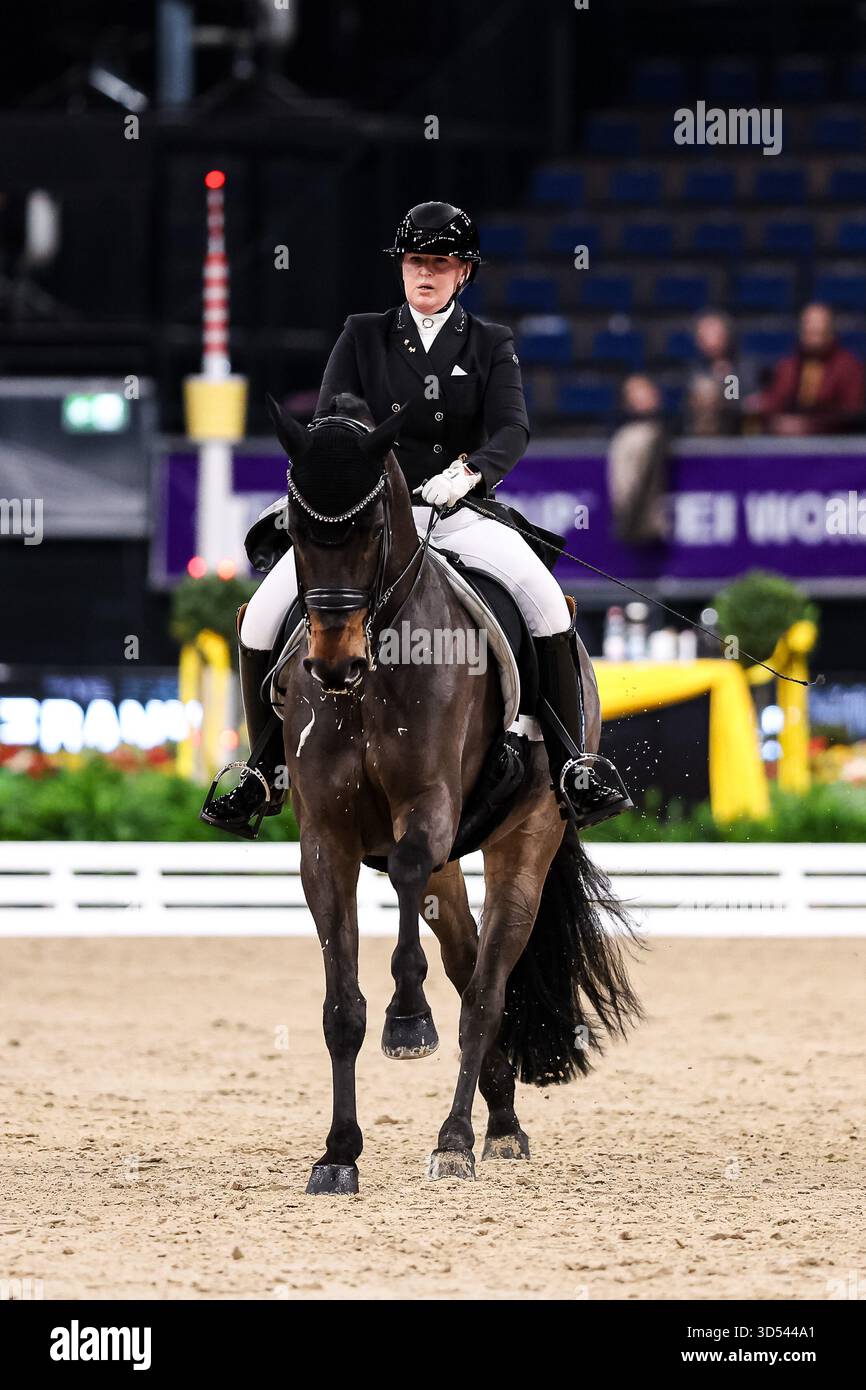 Tina von Briel su Tallahassee (RZ Frese Immenhoefe) Dressage Cup della compagnia iWEST Intermediate i Dressage Kuer esame finale Baden-Württemberg GER, Stoccarda German Masters 2025, 39° Torneo Equestre Internazionale, 11/13/2025 foto: Eibne Foto Stock