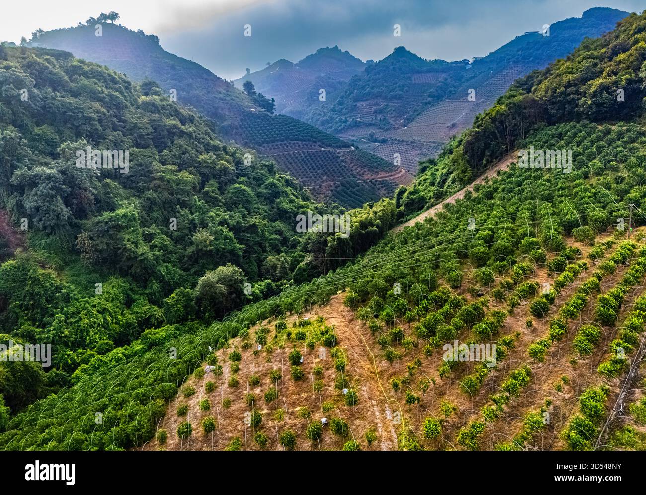 Vista del paesaggio vicino a Yangshuo nella regione del Guangxi, Cina. Foto Stock