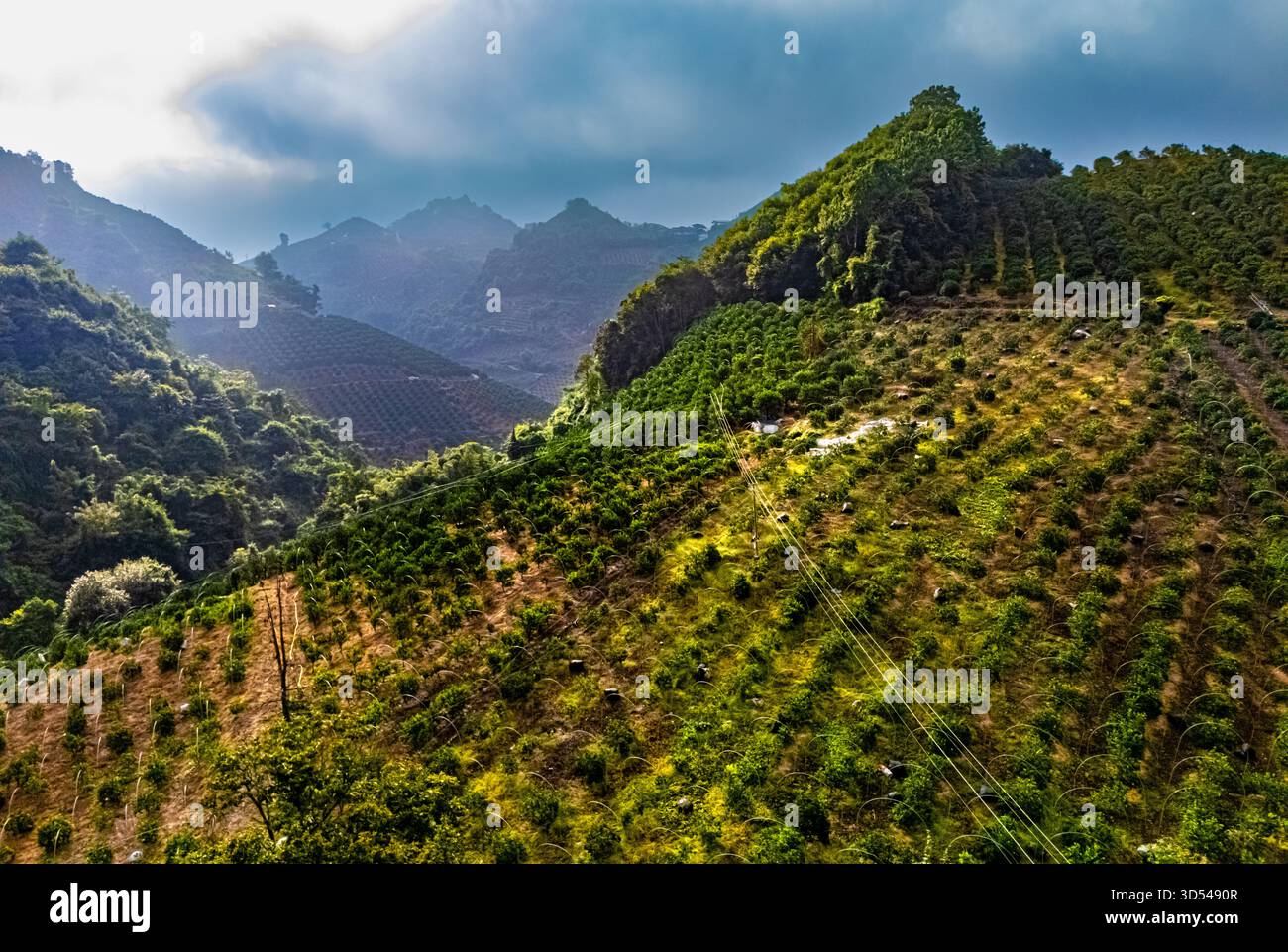 Vista del paesaggio vicino a Yangshuo nella regione del Guangxi, Cina. Foto Stock