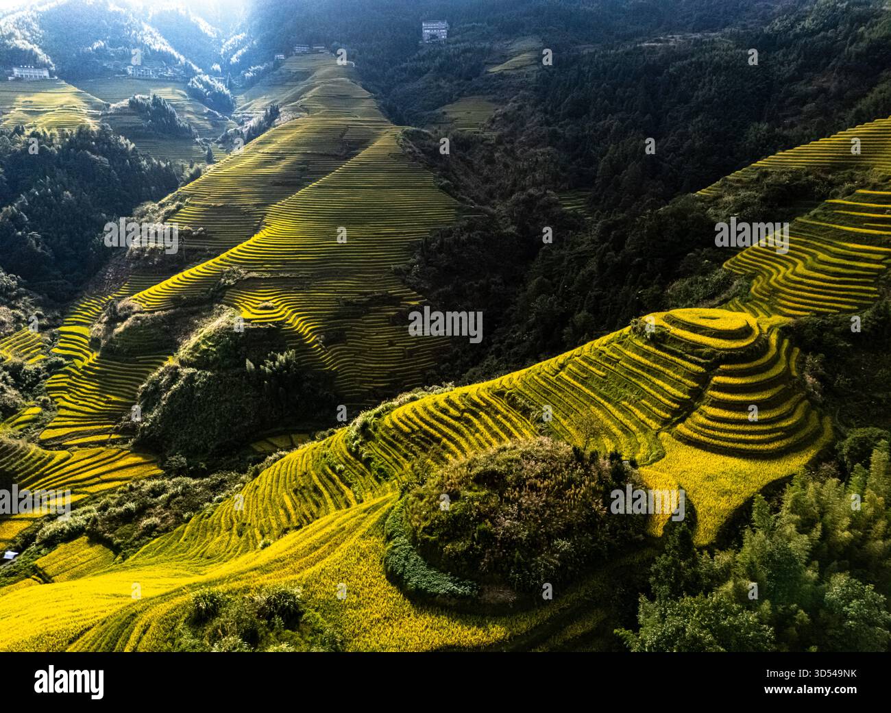 Vista aerea delle risaie a terrazze di Longsheng nella regione del Guangxi, Cina Foto Stock