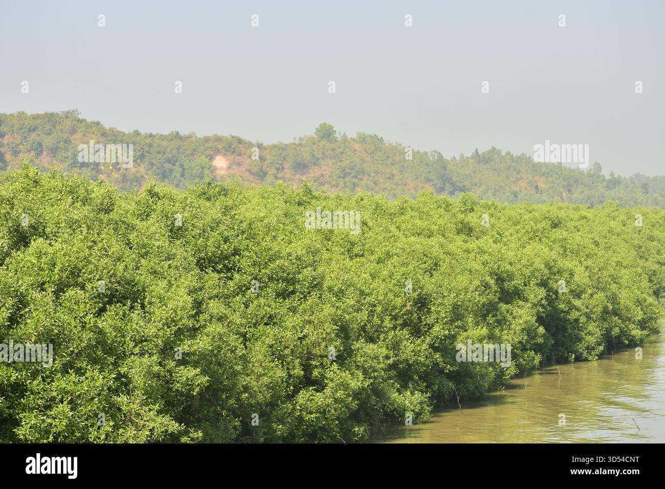 Area costiera dell'isola di Moheshkhali - dove le colline incontrano il mare del Bangladesh Foto Stock