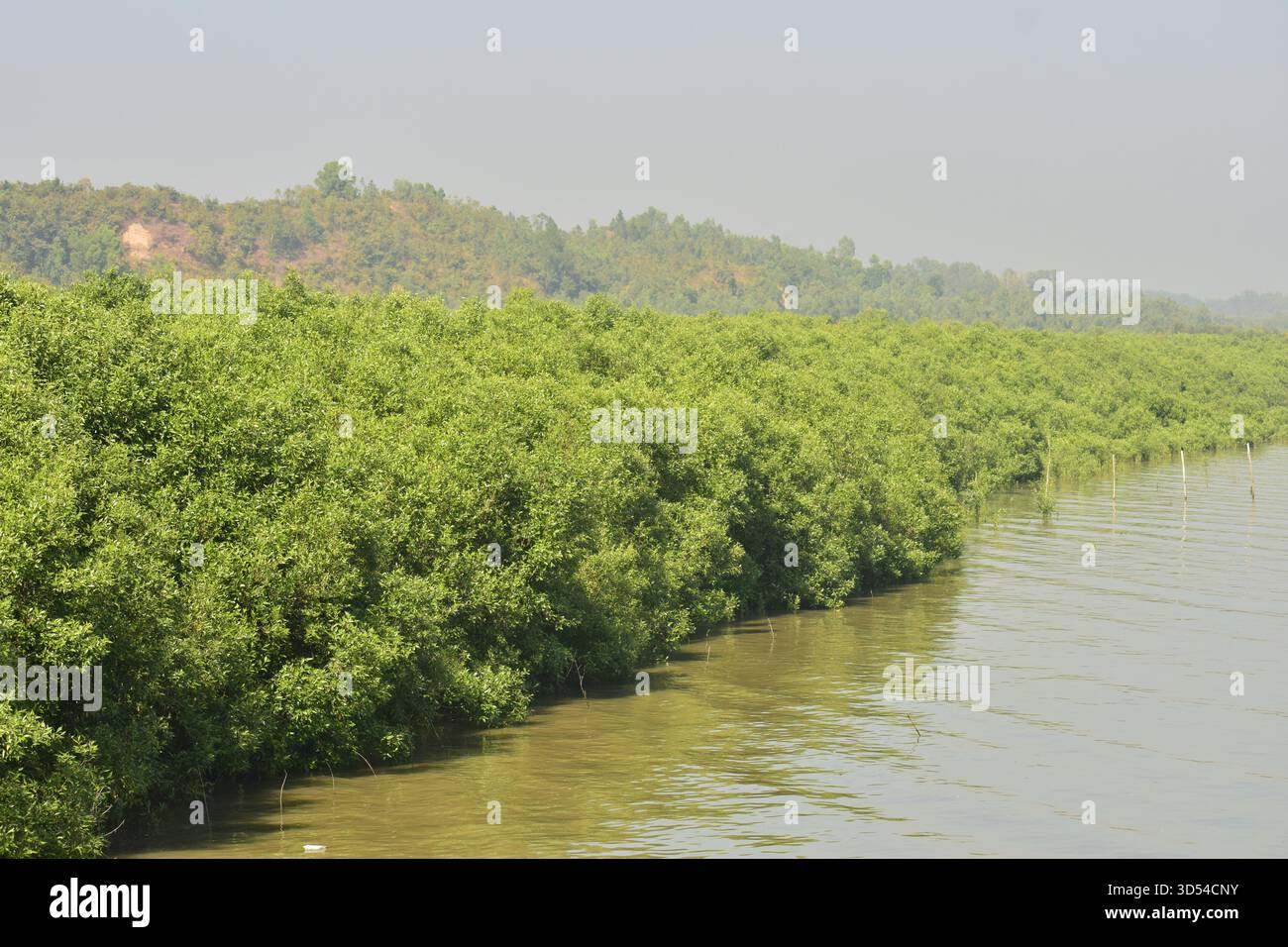 Area costiera dell'isola di Moheshkhali - dove le colline incontrano il mare del Bangladesh Foto Stock