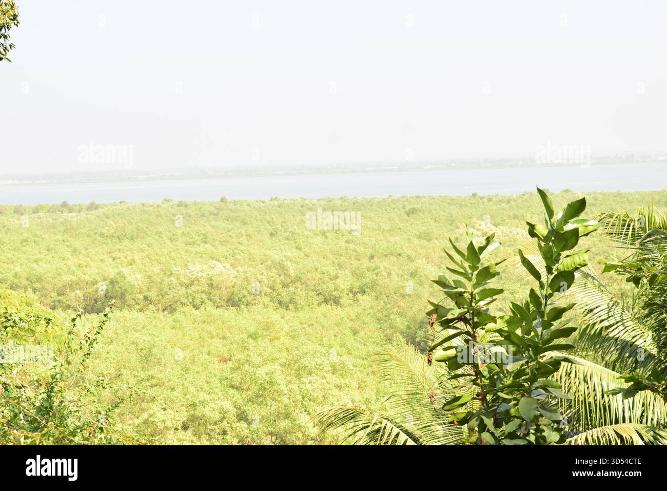 Area costiera dell'isola di Moheshkhali - dove le colline incontrano il mare del Bangladesh Foto Stock