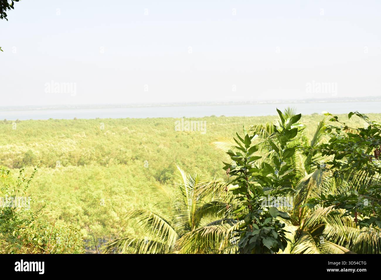 Area costiera dell'isola di Moheshkhali - dove le colline incontrano il mare del Bangladesh Foto Stock
