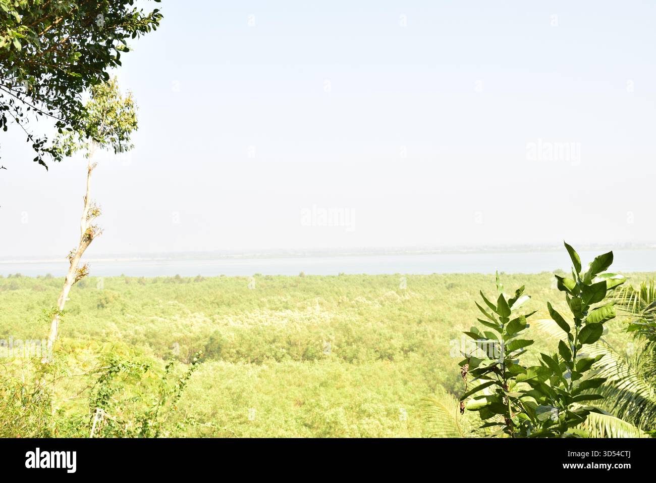 Area costiera dell'isola di Moheshkhali - dove le colline incontrano il mare del Bangladesh Foto Stock
