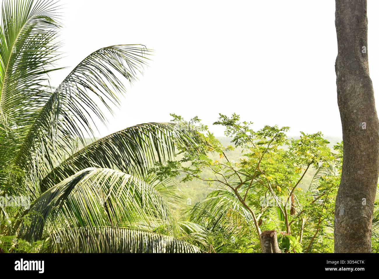 Area costiera dell'isola di Moheshkhali - dove le colline incontrano il mare del Bangladesh Foto Stock