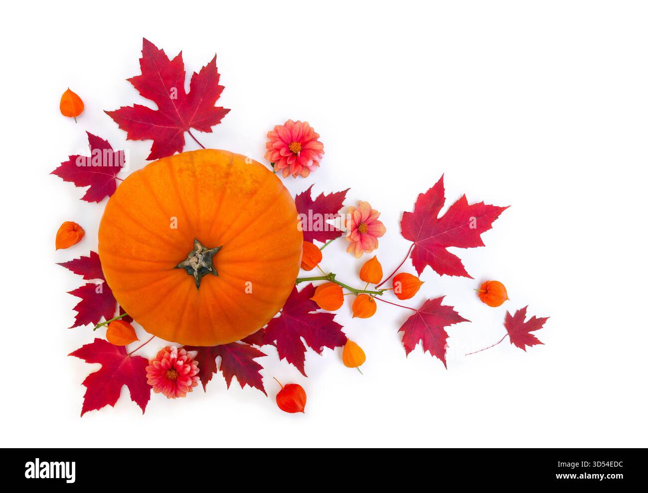 Natura morta autunnale con zucca gialla, foglie d'acero rosso, dahlia rossa, frutti di mela e arancia di fitis su sfondo bianco con spazio di copia. Foto Stock