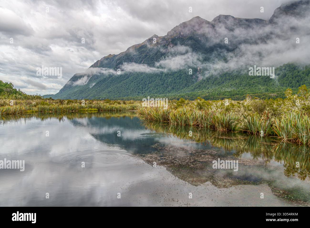 I laghi specchio sulla strada per Milford Sound Foto Stock