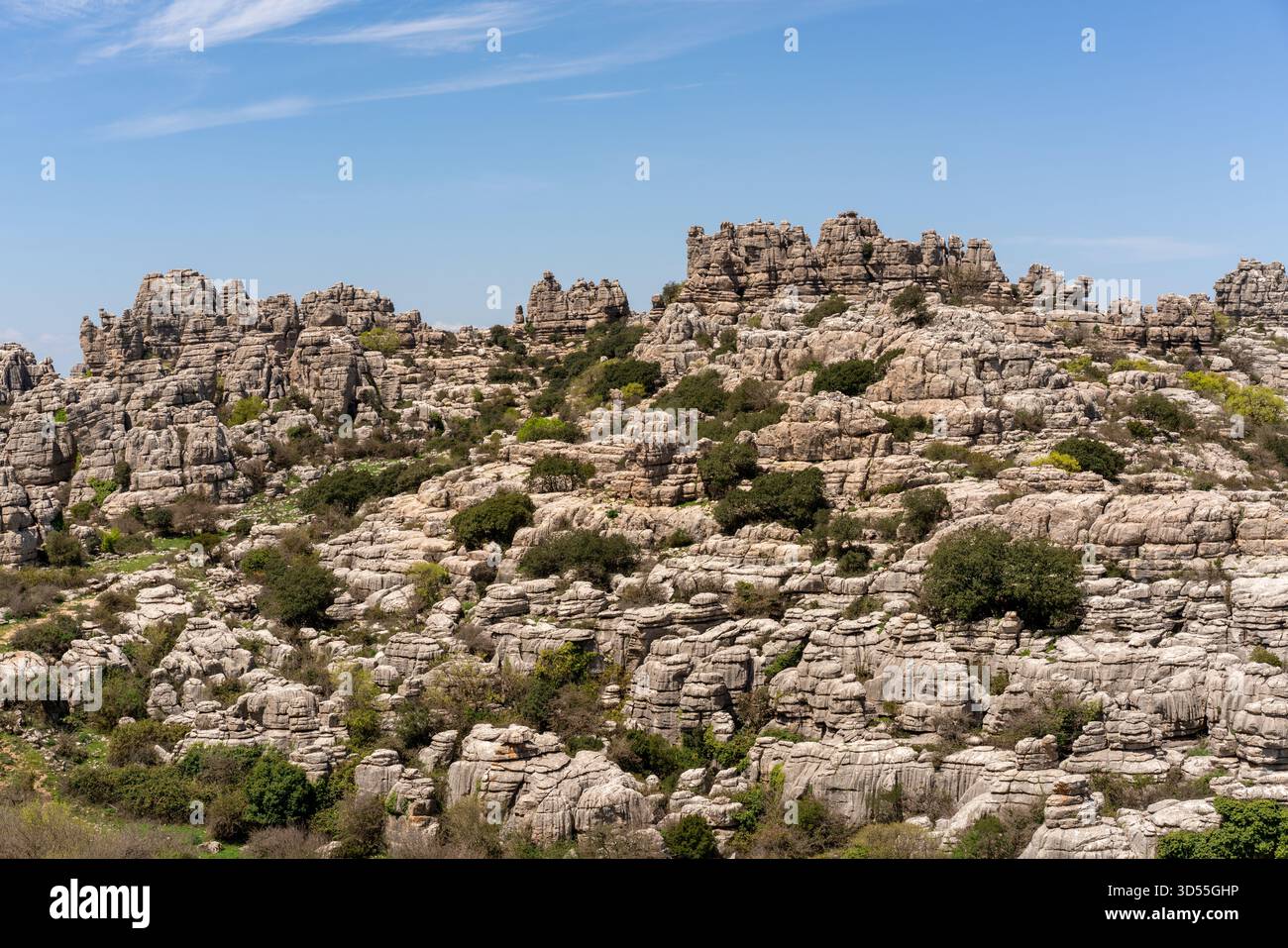 Formazioni di roccia calcarea nella riserva naturale di El Torcal de Antequera, in Spagna Foto Stock