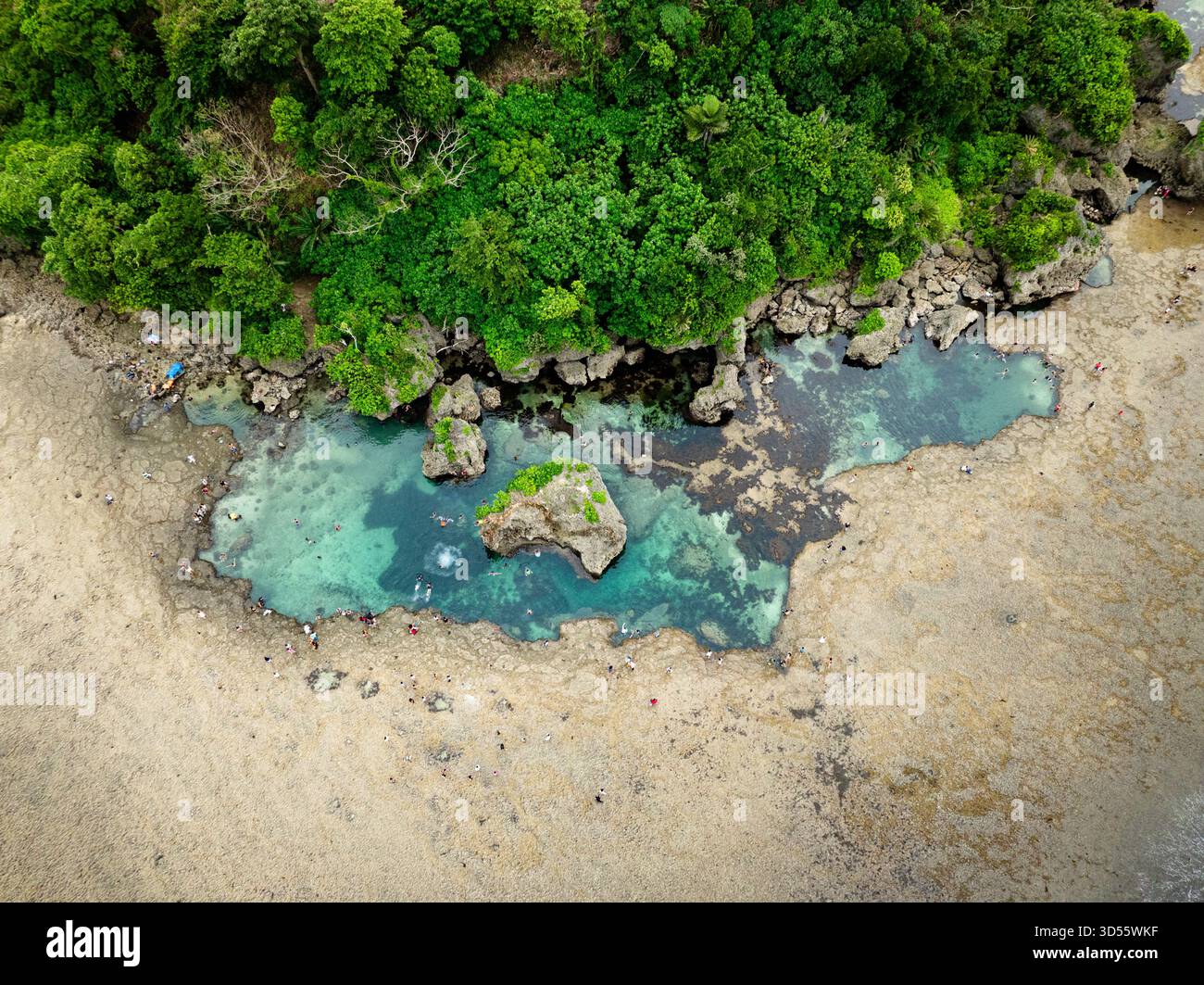 Piscina naturale con maree con nuotatori e formazione rocciosa vicino al bordo della foresta. Siargao, Filippine. Foto Stock