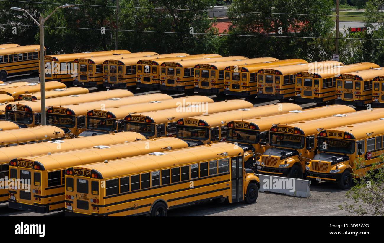 Molti scuolabus in un parcheggio. Greater Sudbury, ONTARIO, Canada Foto Stock
