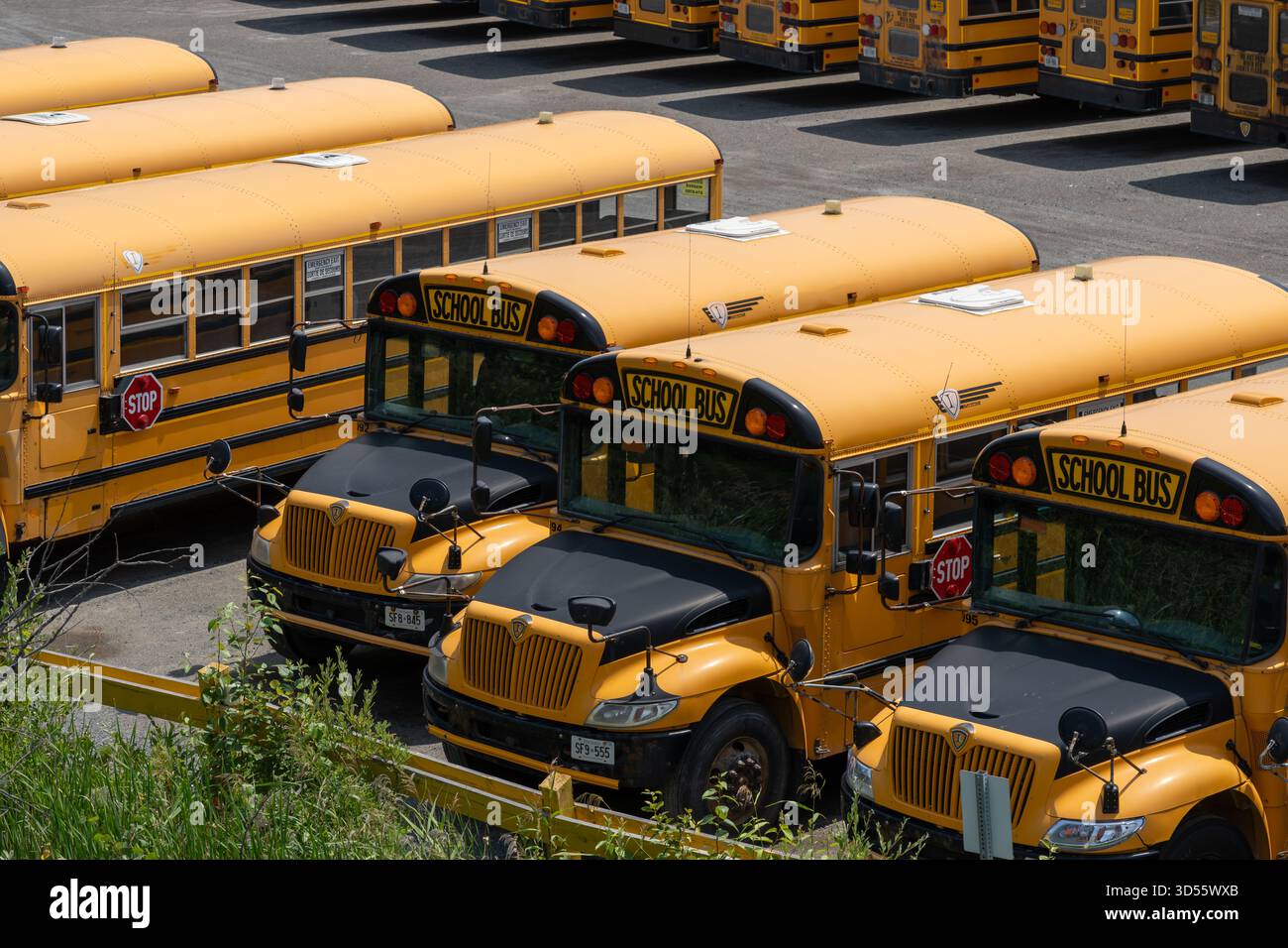 Molti scuolabus in un parcheggio. Greater Sudbury, ONTARIO, Canada Foto Stock