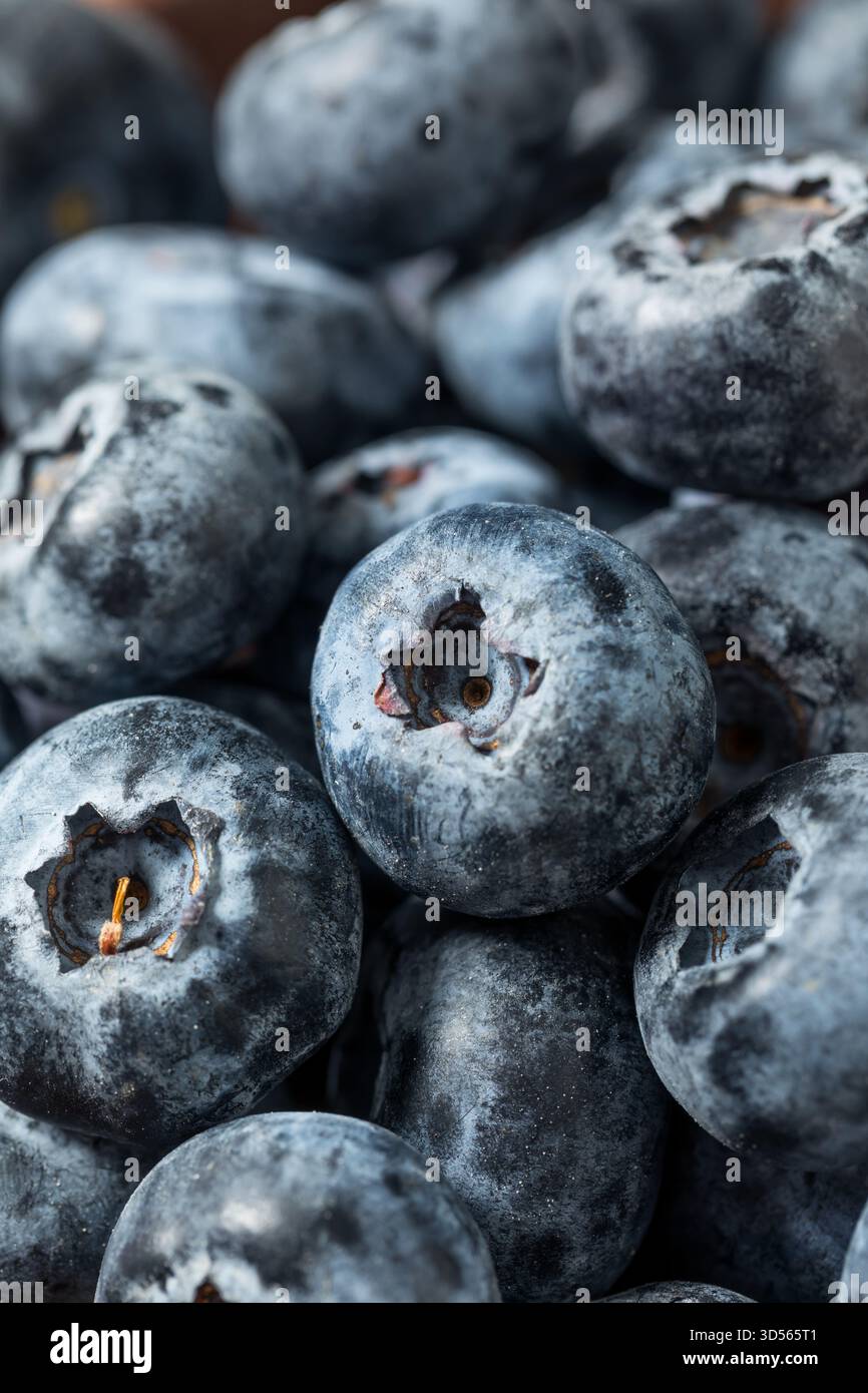 Via Le Truppe Usa Dall'Europa Dell'Est? Più Un Grande Bluff Che Un Grande Gioco - Foto 9