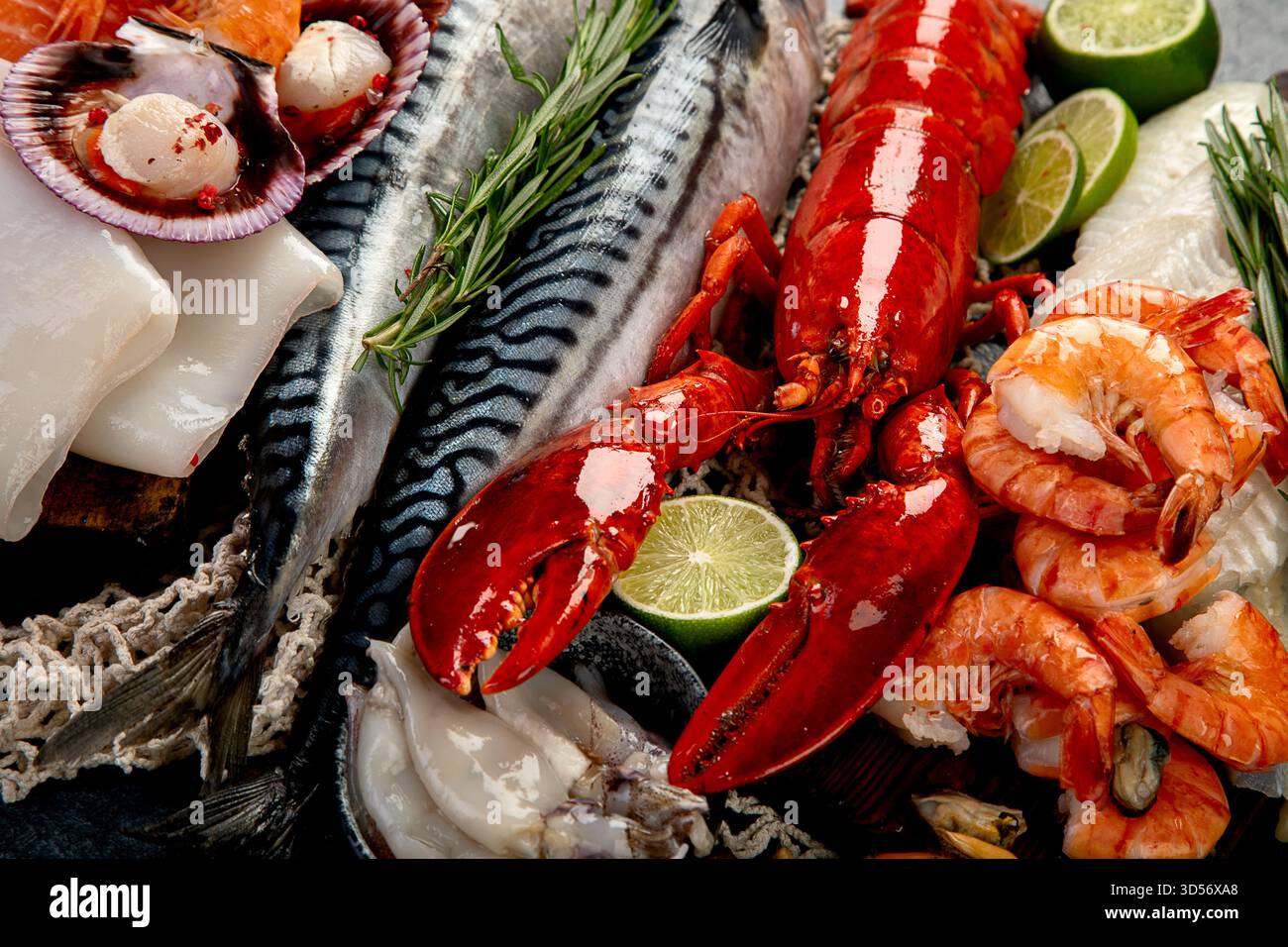 Varietà di pesce fresco ed erbe aromatiche. Pesce fresco e specialità di pesce. Vista dall'alto. Foto Stock