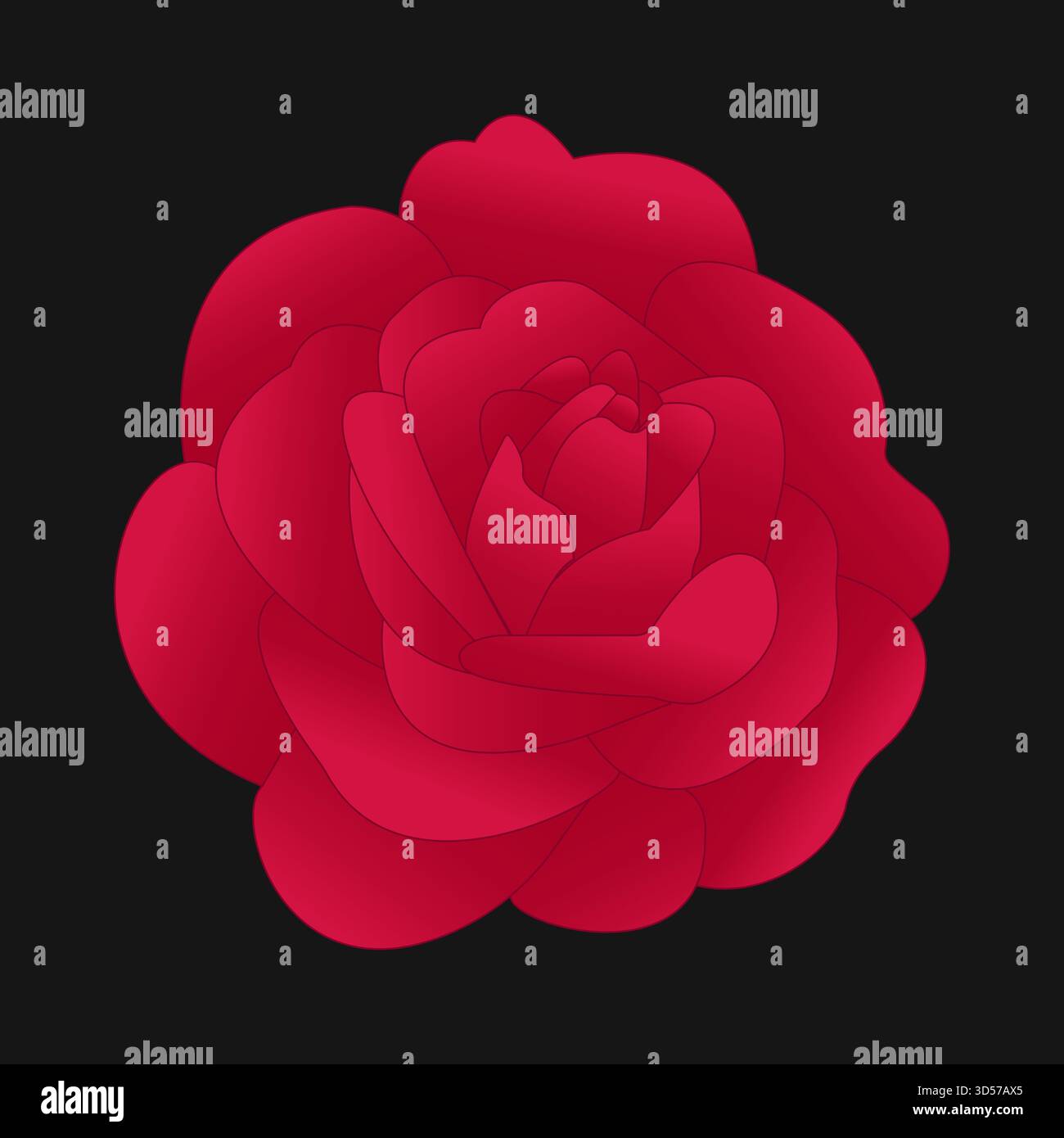 Illustrazione vettoriale di un fiore di rosa rosso. Illustrazione Vettoriale