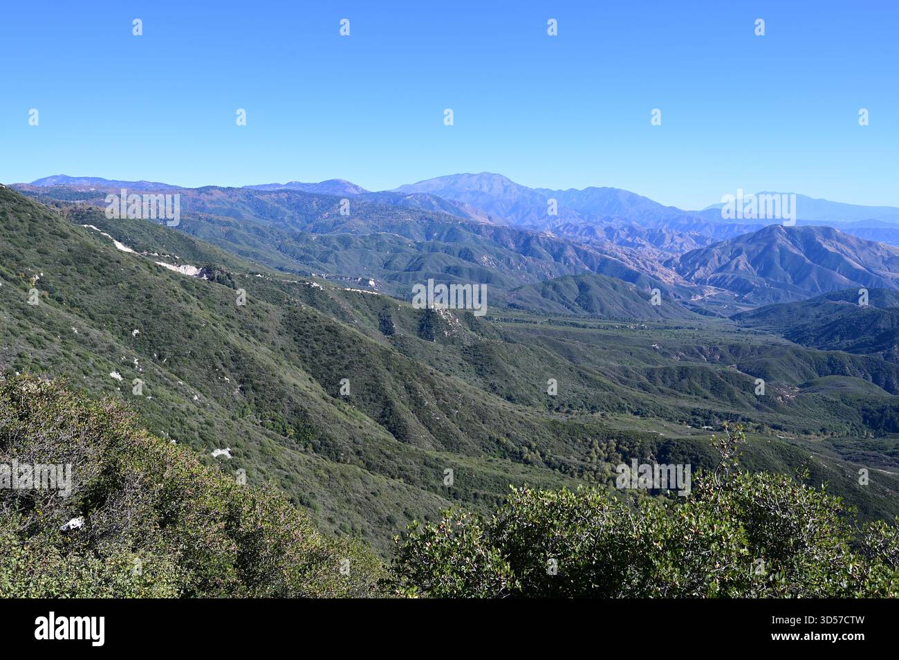 San Bernardino Mountains in California. Foto Stock