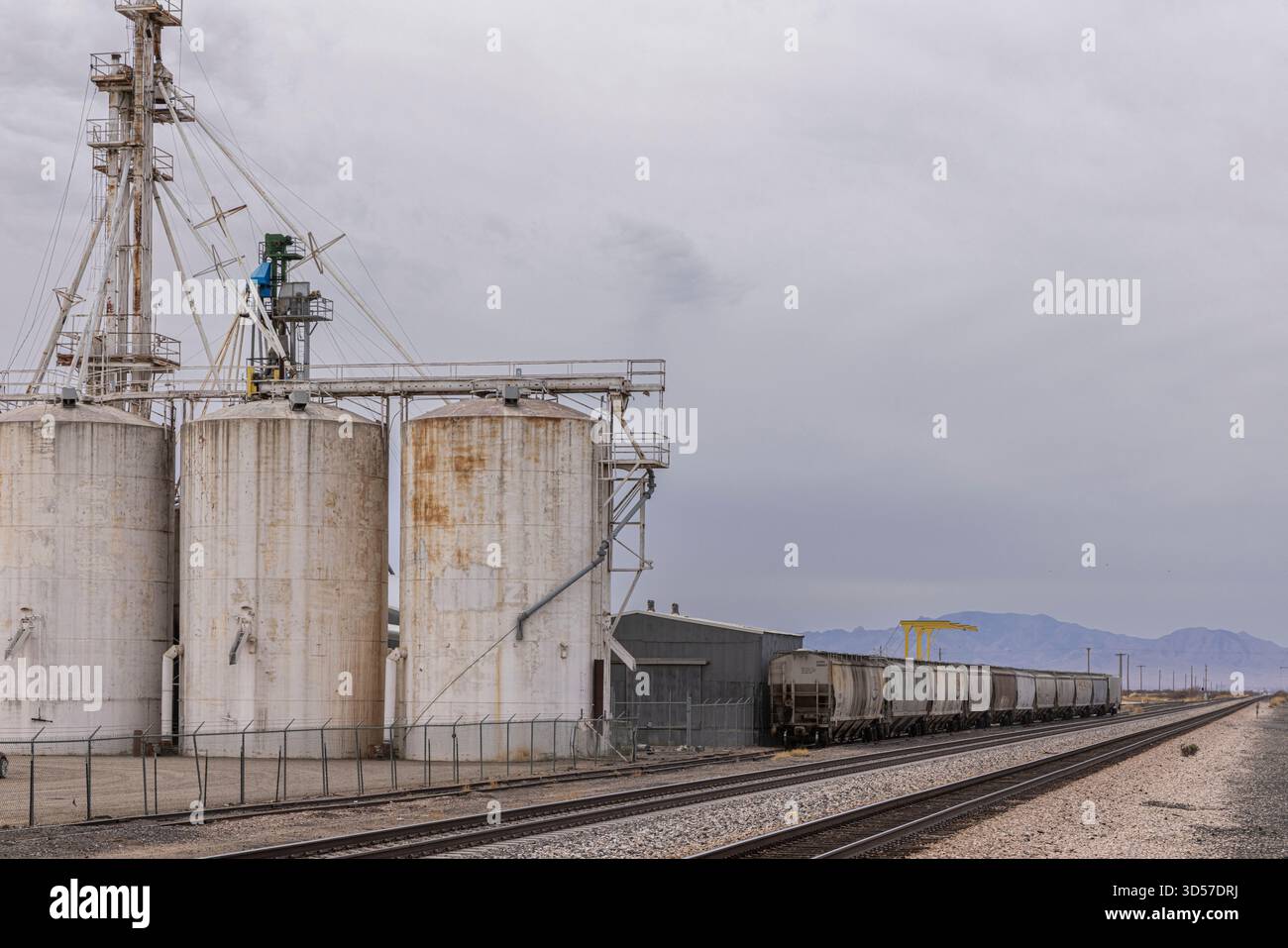 Silos di grano vicino ai binari del treno nel paesaggio rurale occidentale Foto Stock