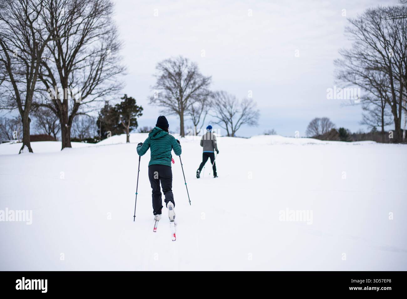 Sci di fondo di coppia in inverno Foto Stock