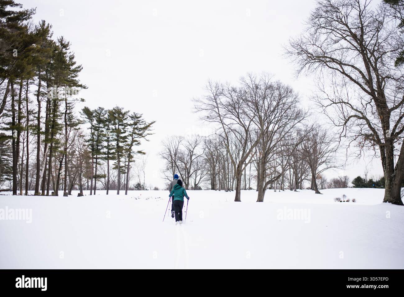 Sci di fondo di coppia in inverno Foto Stock