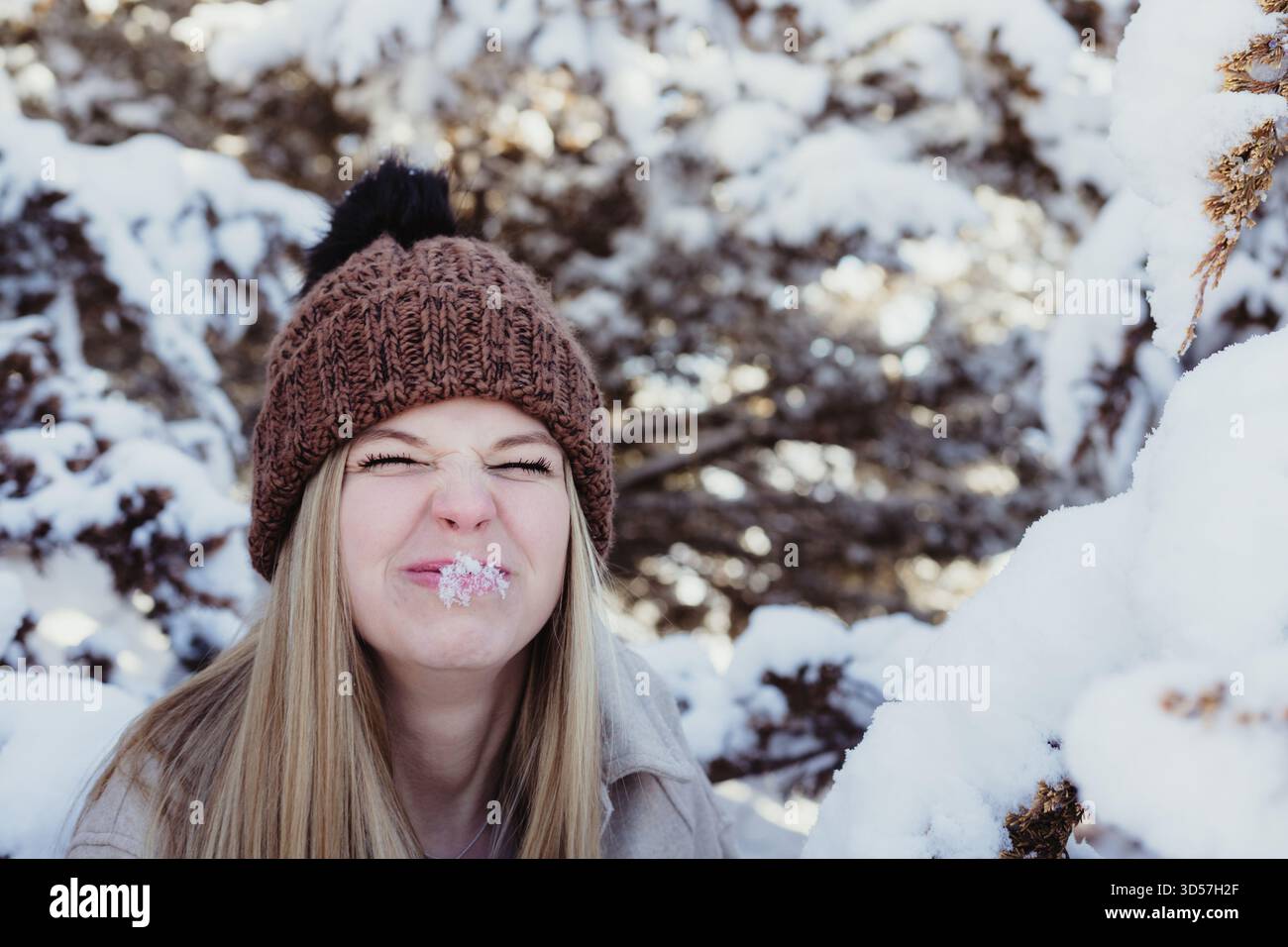 Servizio fotografico Snowy Senior con sfondo Evergreen Foto Stock