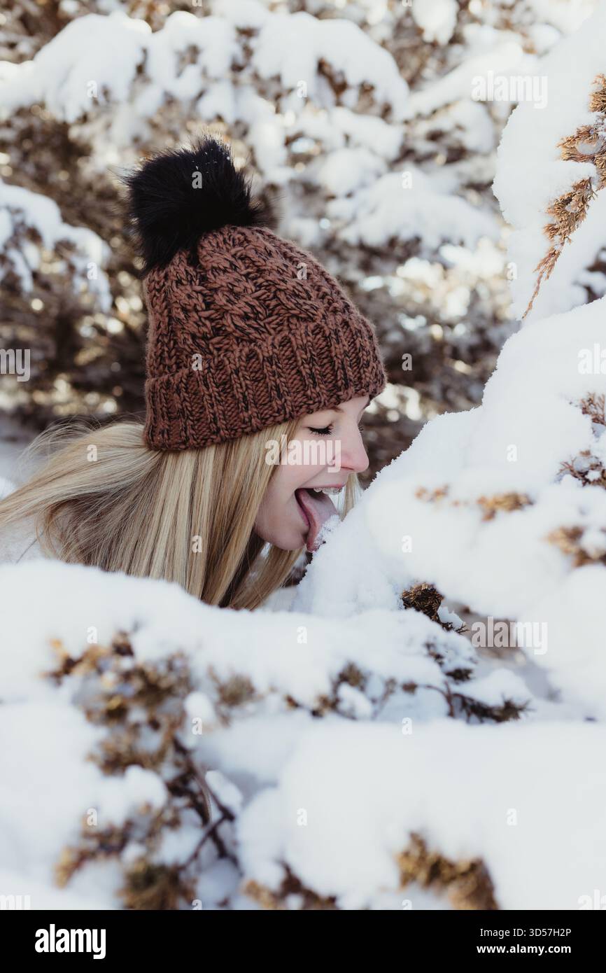 Servizio fotografico Snowy Senior con sfondo Evergreen Foto Stock