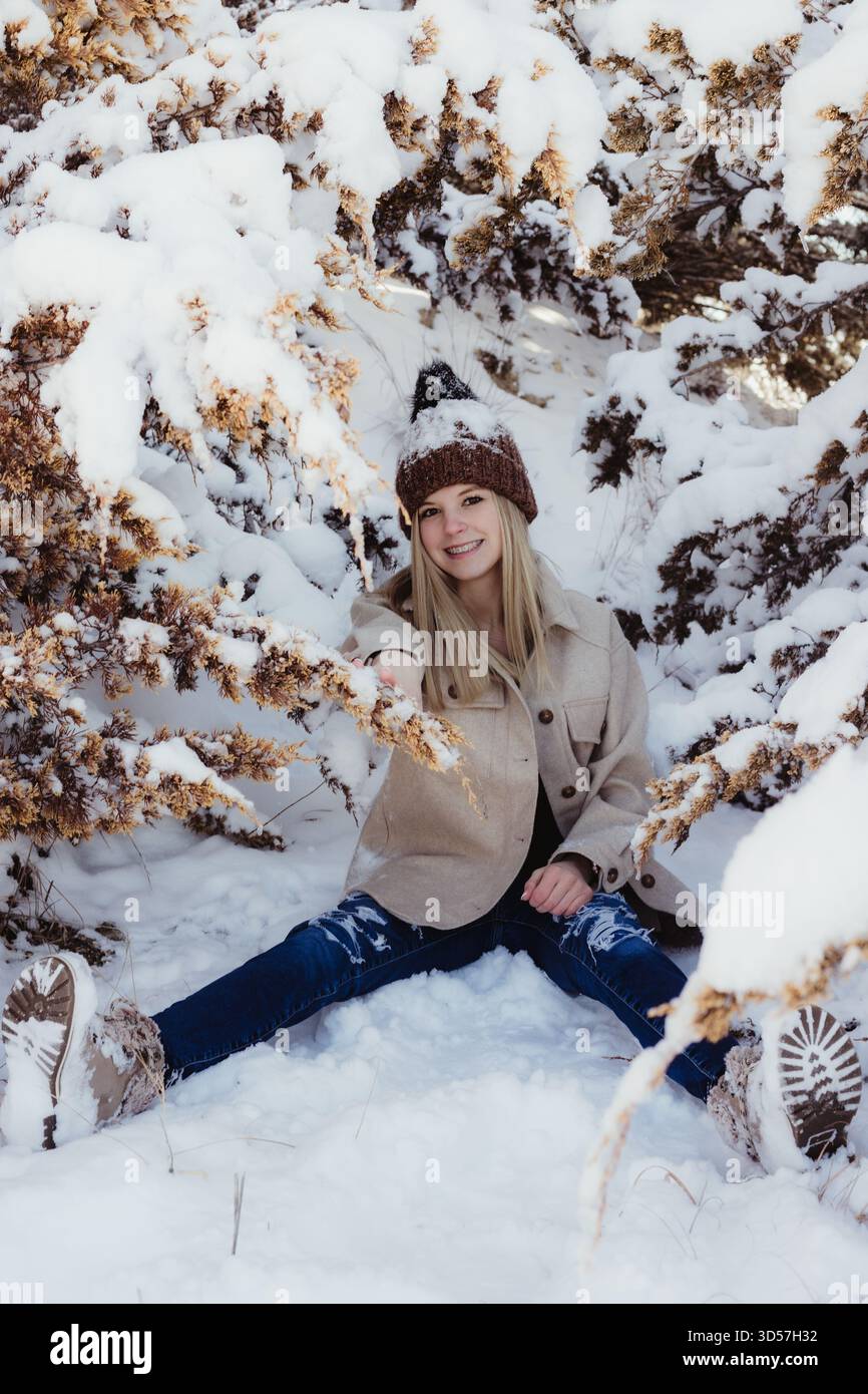 Servizio fotografico Snowy Senior con sfondo Evergreen Foto Stock