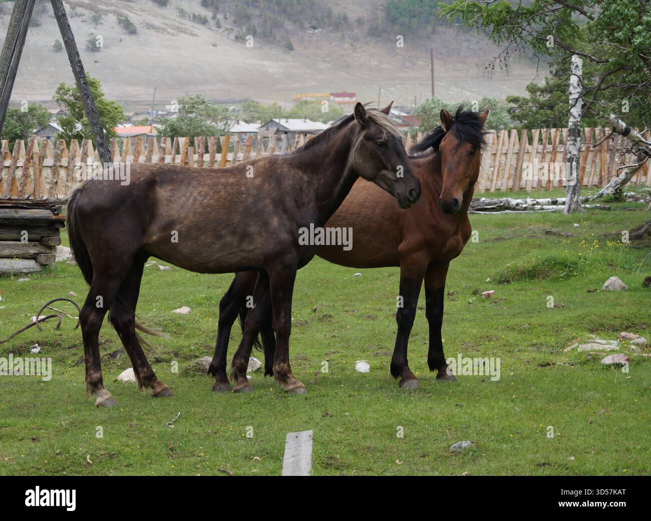 Misteriose leggende di Olkhon Island Foto Stock