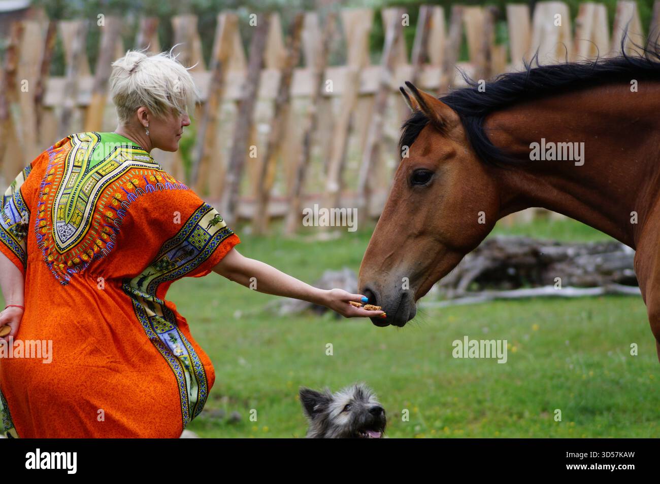 La pura energia dell'isola di Olkhon Foto Stock