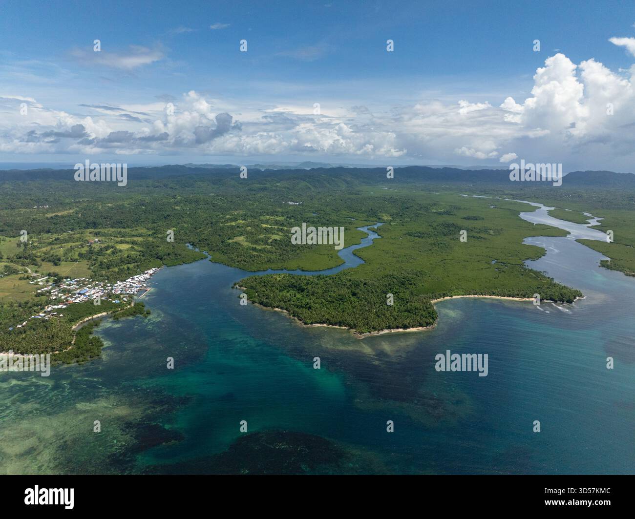 Canali di mangrovie che scorrono attraverso il paesaggio forestale in un mare poco profondo e limpido. Siargao, Filippine. Foto Stock