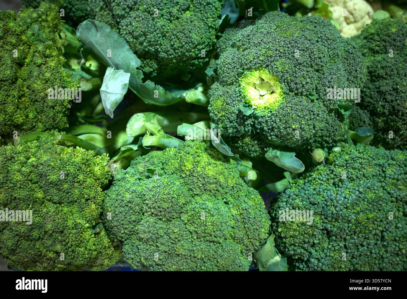 Primo piano di fiori di cauli verdi per ingredienti vegetali. Foto Stock