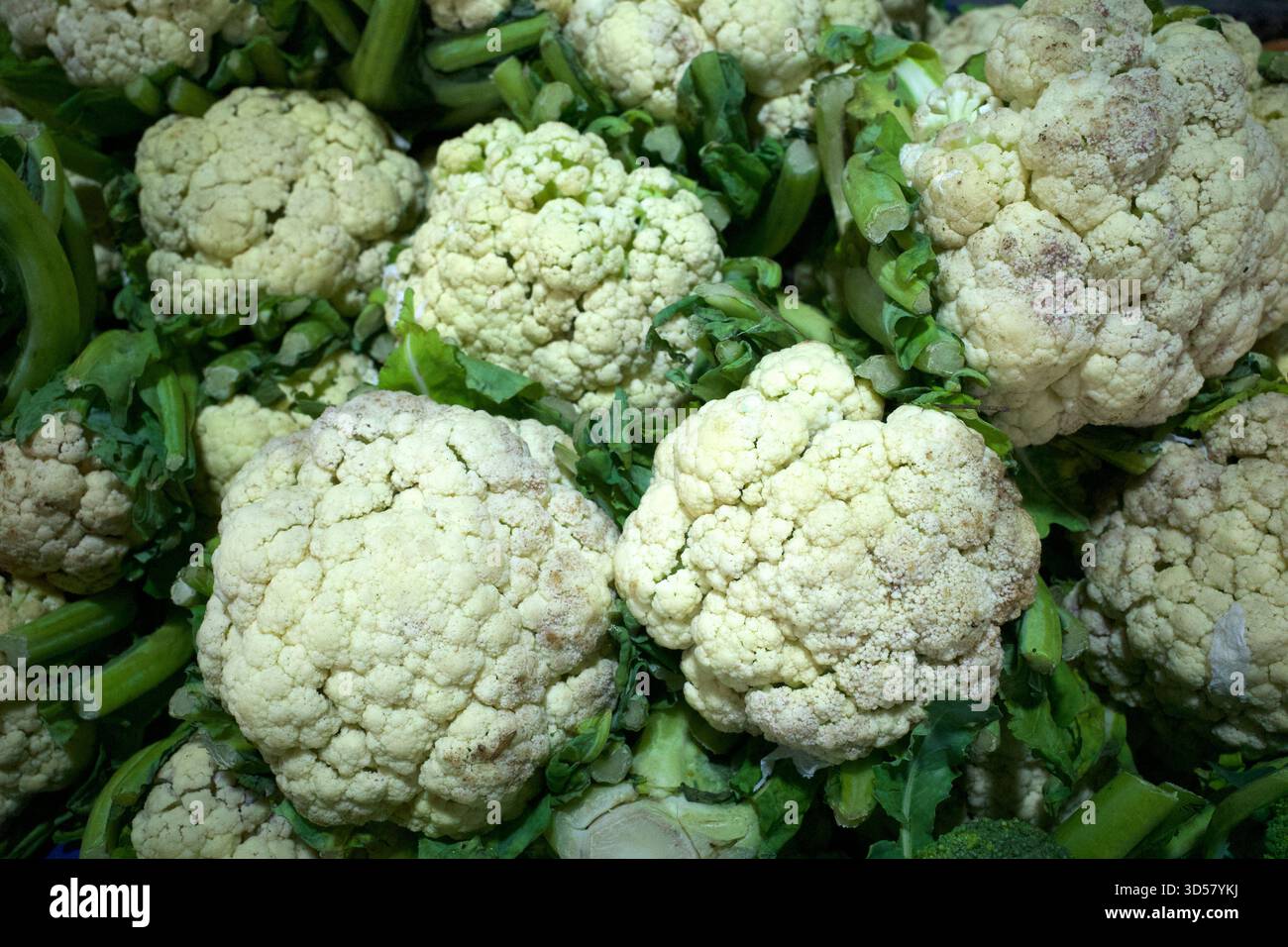 Primo piano di fiori di cauli bianchi per ingredienti vegetali. Foto Stock