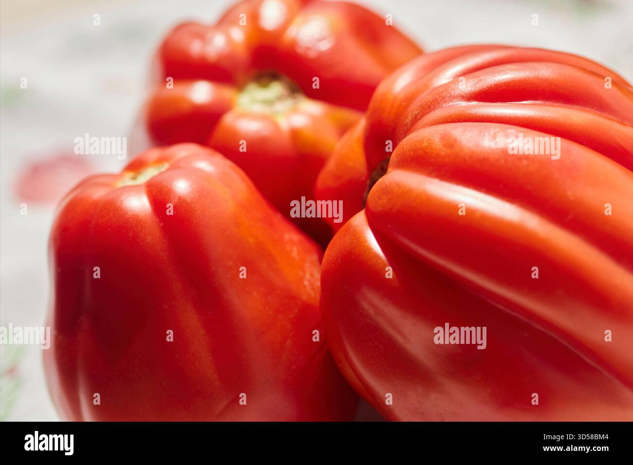 Pomodori freschi, interi, a cuore di bue. Foto Stock