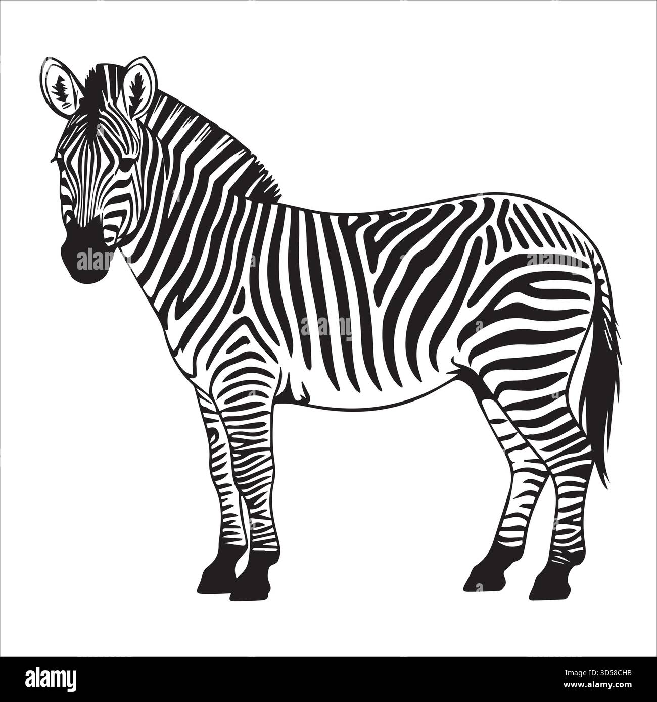 Disegno di colore della linea vettoriale dell'illustrazione Zebra Illustrazione Vettoriale