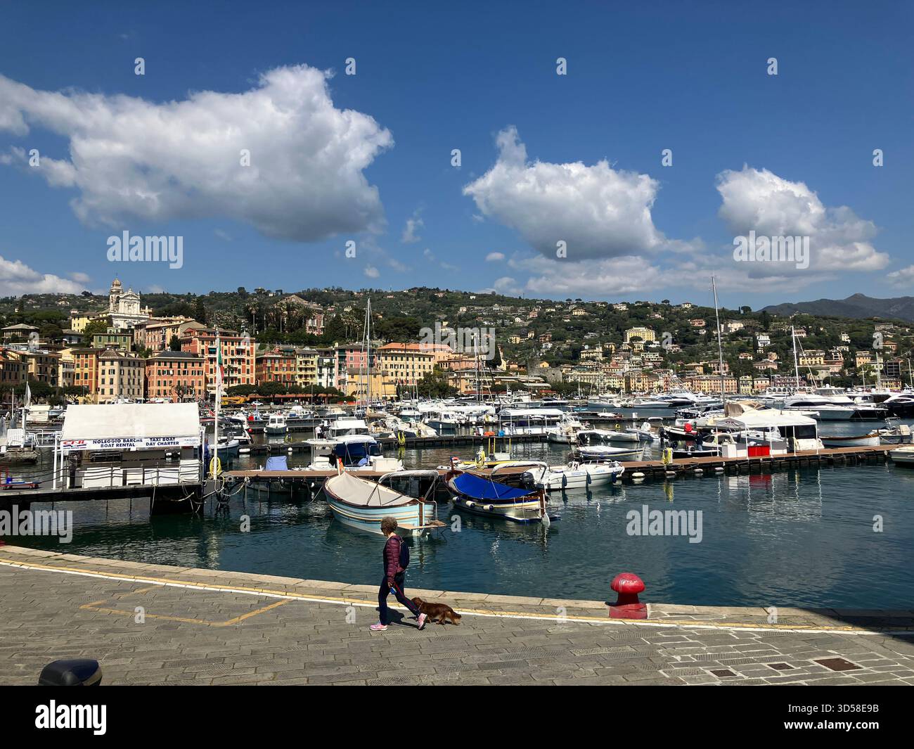 Italia. Santa Margherita Ligure. Vista sul lungomare e sulle barche nel porto. Foto Stock