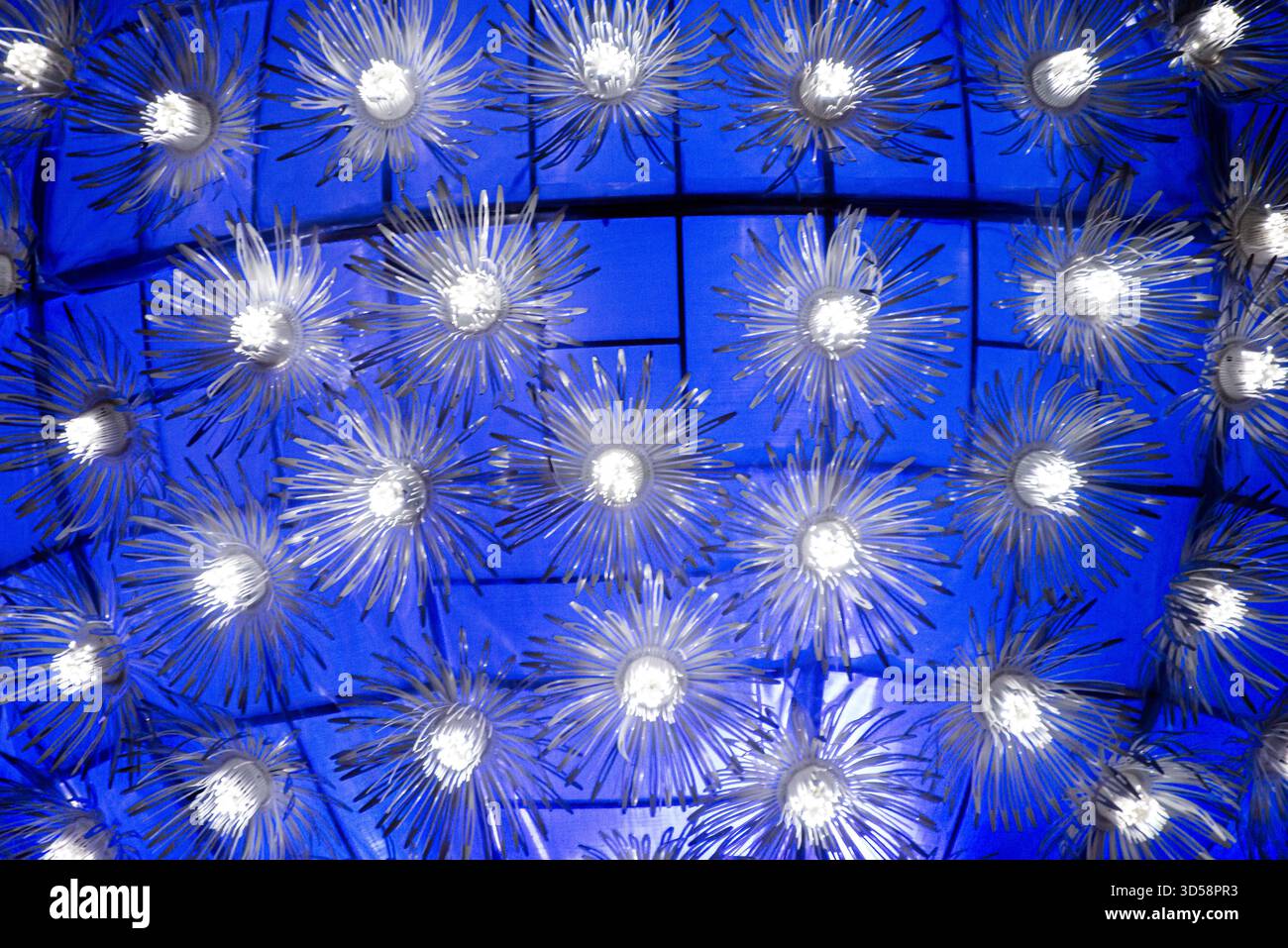 Molte luci con sfondo blu Foto Stock