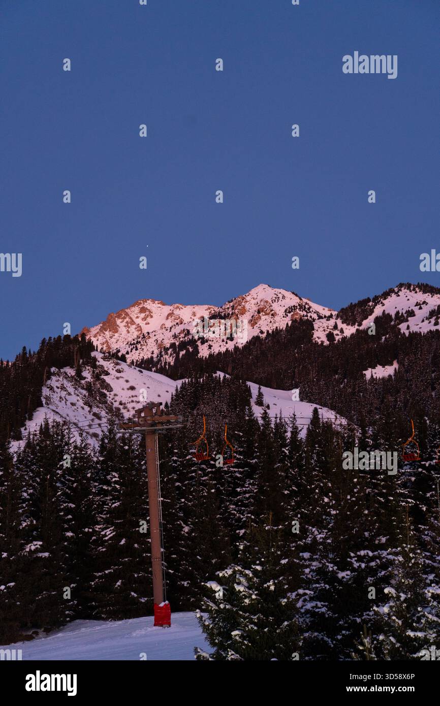 Ripresa verticale al crepuscolo di una vetta innevata illuminata da scarsa luce, che si affaccia su una fitta foresta scura e un palo per impianti di risalita Foto Stock