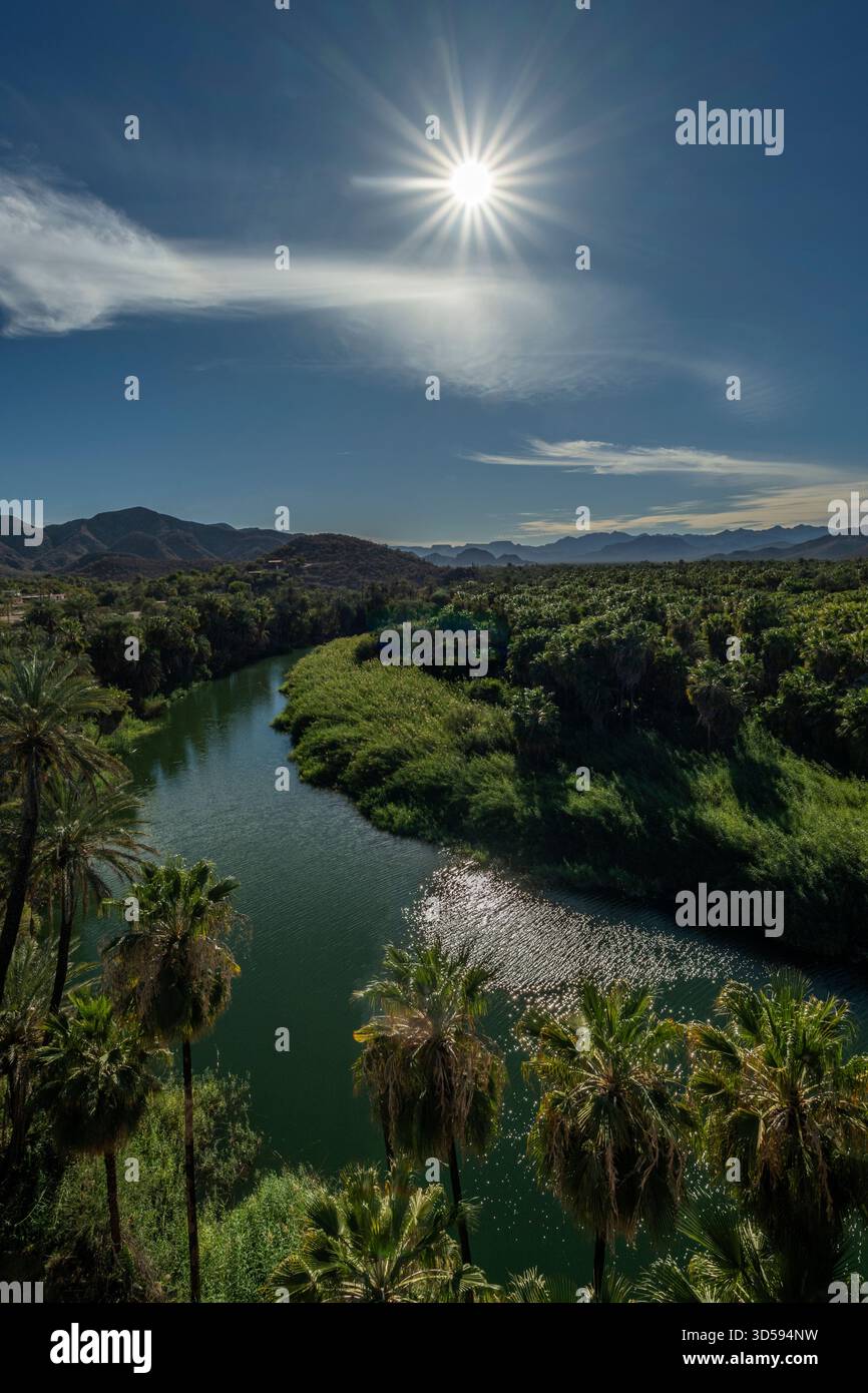 Il fiume Mulege, vicino alla missione, Baja California Sur, Messico Foto Stock