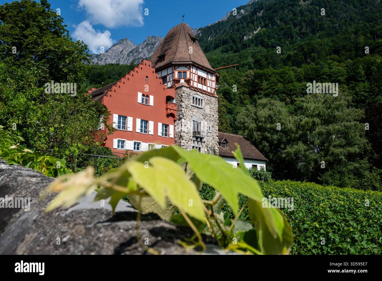 La Casa Rossa, in tedesco Rotes Haus, uno dei monumenti storici di Vaduz. Vaduz è la capitale del Principato del Liechtenstein. Il Liechtenstein è uno dei paesi più piccoli del mondo, con una superficie di circa 160 chilometri quadrati e una popolazione di circa 41000 abitanti. Il Liechtenstein è una monarchia guidata dal principe del Liechtenstein Hans-Adam II, mentre il suo figlio maggiore Alois, principe ereditario del Liechtenstein agisce come reggente. Foto Stock