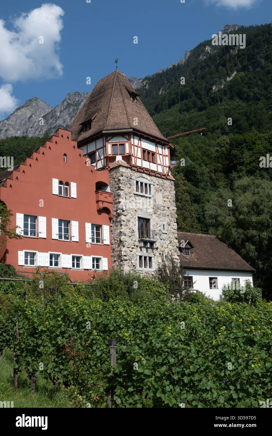 16 agosto 2025, Vaduz, Liechtenstein: La Casa Rossa, in tedesco Rotes Haus uno dei punti di riferimento storici di Vaduz. Vaduz è la capitale del Principato del Liechtenstein. Il Liechtenstein è uno dei paesi più piccoli del mondo, con una superficie di circa 160 chilometri quadrati e una popolazione di circa 41000 abitanti. Il Liechtenstein è una monarchia guidata dal principe del Liechtenstein Hans-Adam II, mentre il suo figlio maggiore Alois, principe ereditario del Liechtenstein agisce come reggente. (Immagine di credito: © Tomas Tkacik/SOPA Images via ZUMA Press Wire) SOLO PER USO EDITORIALE! Non per USO commerciale! Foto Stock