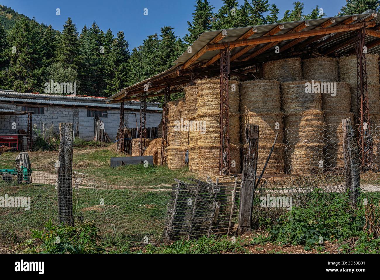 Balle di fieno immagazzinate in un capannone, pronte per l'alimentazione del bestiame. Abruzzo, Italia, Europa Foto Stock