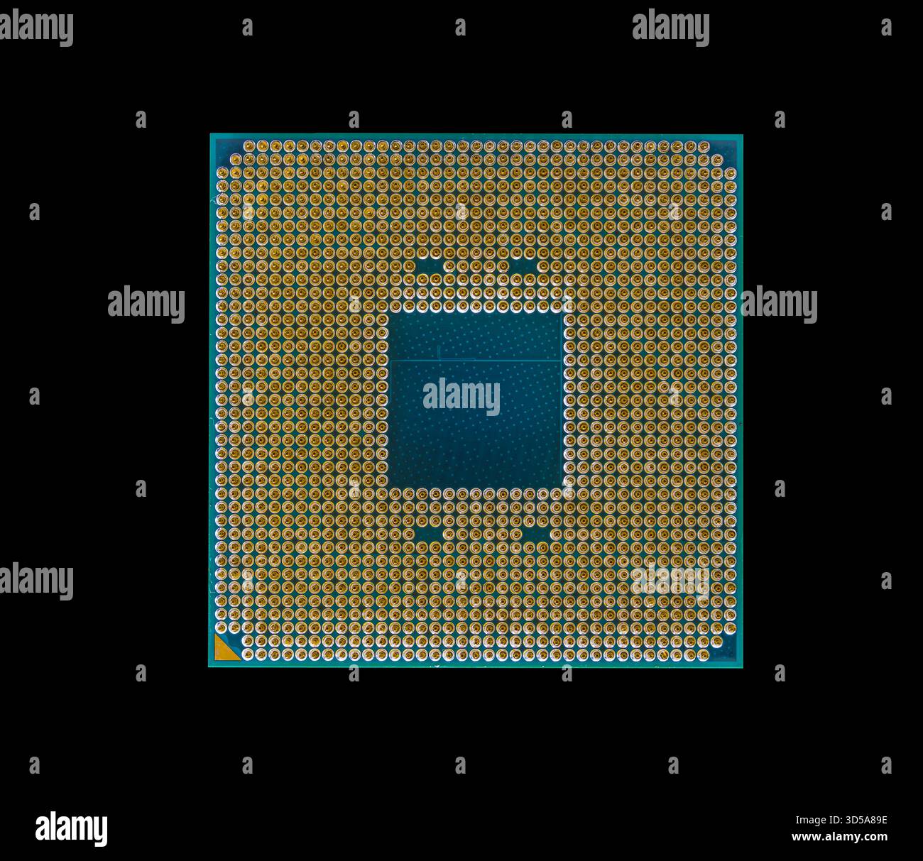 Primo piano di un processore per computer con pin placcati oro isolati su uno sfondo nero Foto Stock