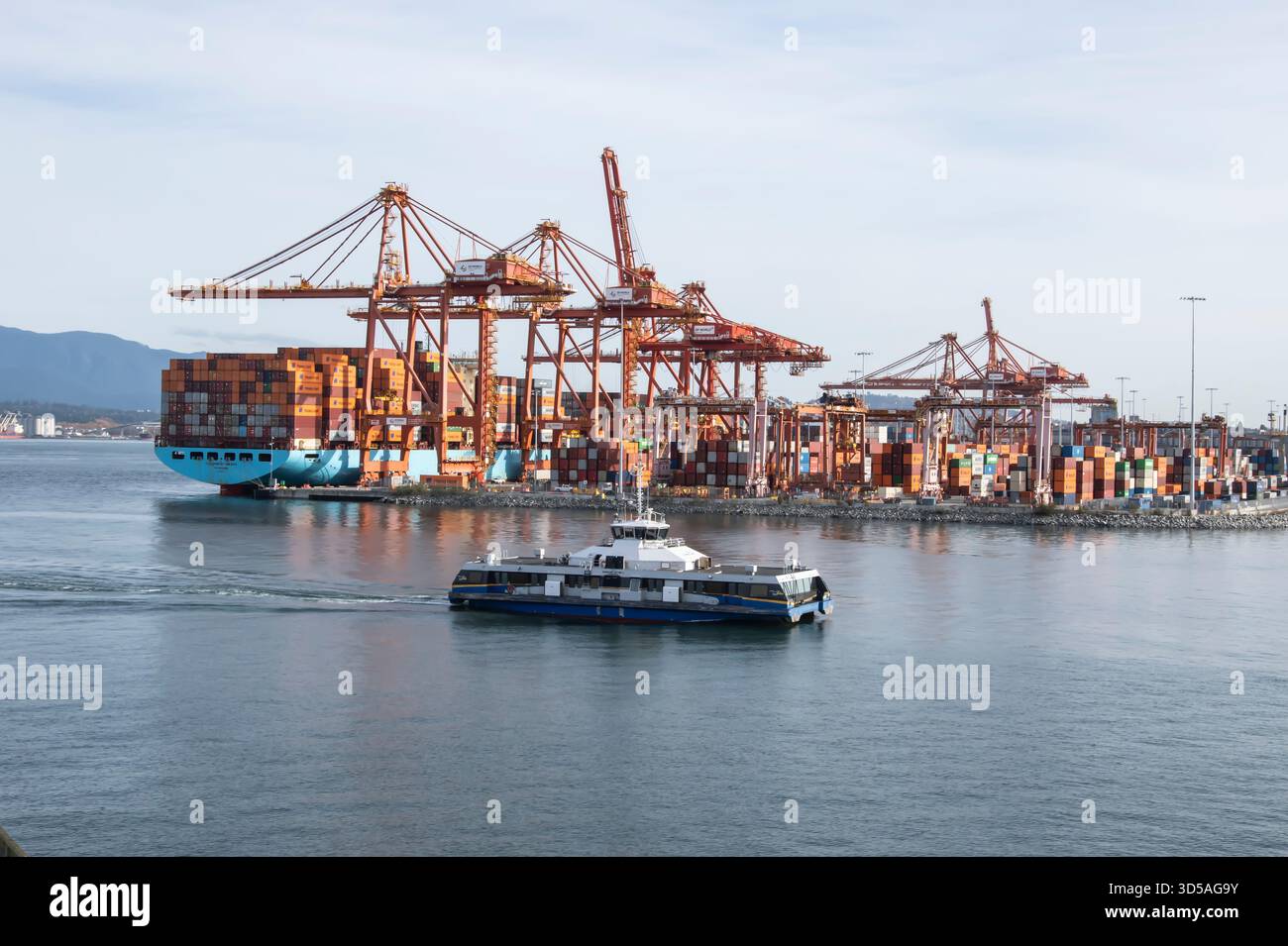 Gru container al porto di fronte al Canada Place nel centro di Vancouver, British Columbia, Canada Foto Stock