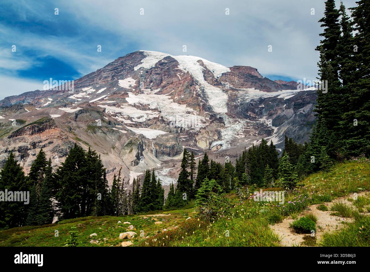 Vista del monte Rainier e del ghiacciaio, Nisqually Vista Trail, Mount Rainier National Park, Washington Foto Stock