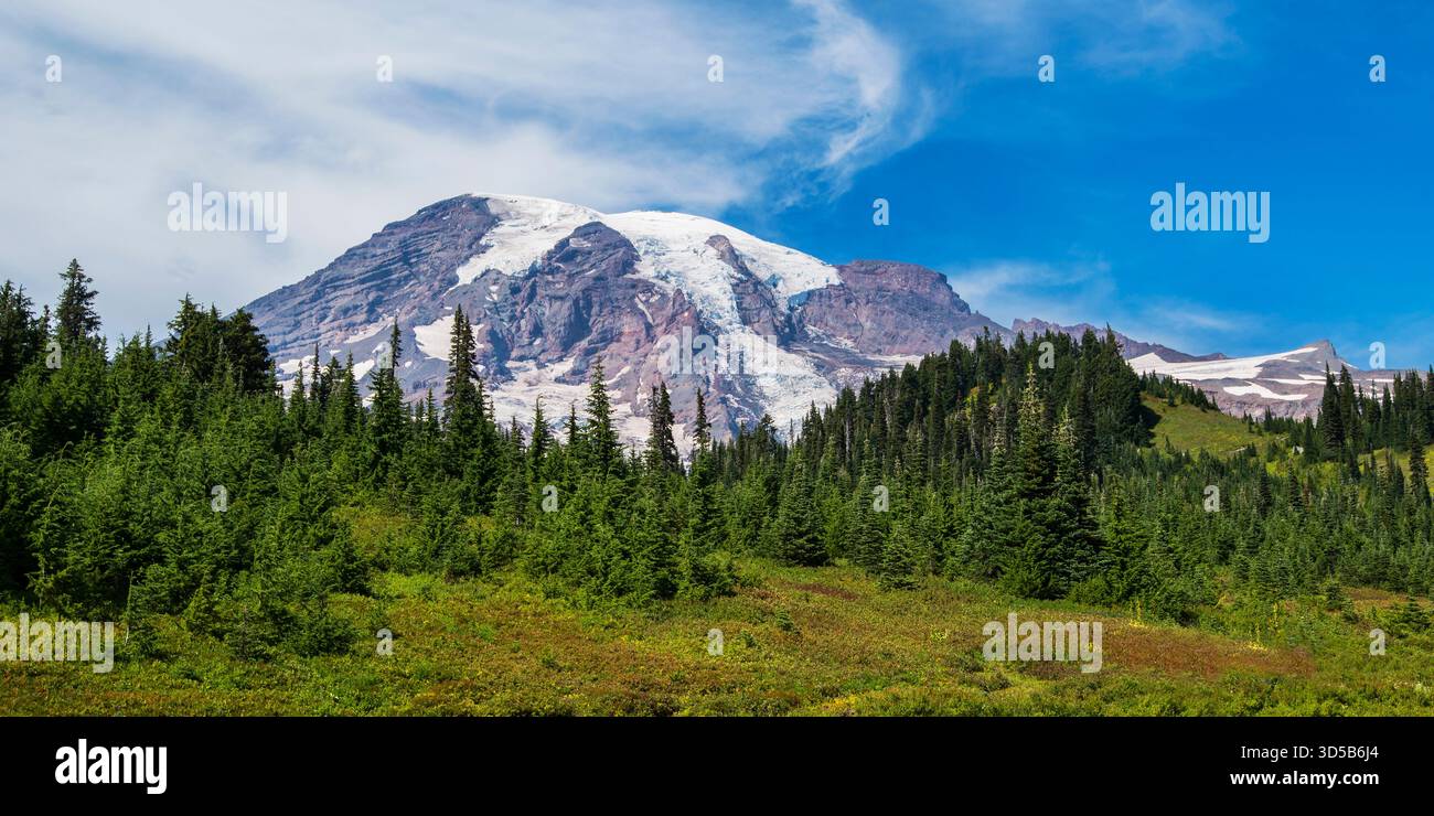Vista del monte Rainier e del ghiacciaio, Nisqually Vista Trail, Mount Rainier National Park, Washington Foto Stock