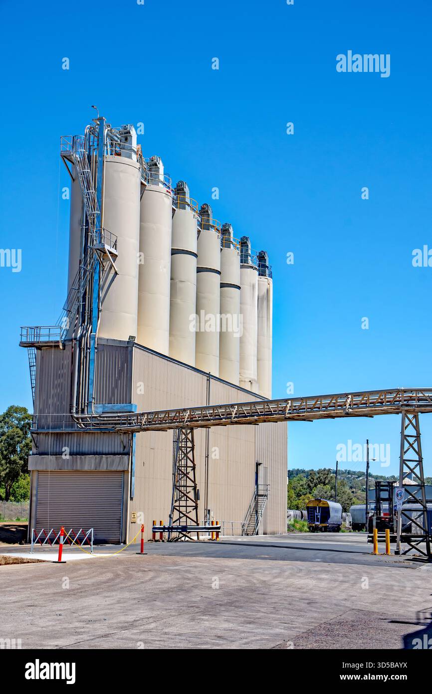Manildra Group’s Flour Mill Grain Silos a Gunnedah nel nuovo Galles del Sud centro-settentrionale, Australia. Foto Stock