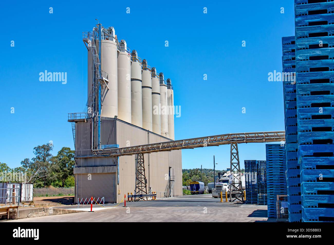 Manildra Group’s Flour Mill Grain Silos a Gunnedah nel nuovo Galles del Sud centro-settentrionale, Australia. Foto Stock